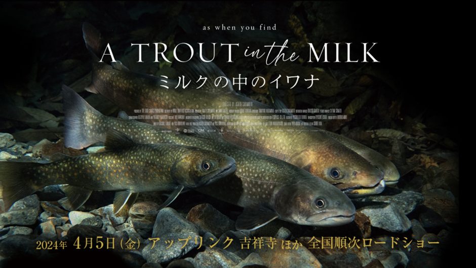 You are currently viewing 北安中部漁協：2025年３月22日（土）に開催する『A TROUT IN　THE  MILK／ミルクの中のイワナ』の自主上映会のお知らせ