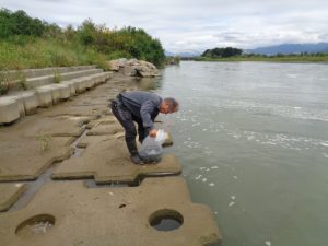 投稿についてもっと詳しく 千曲川漁協：2025年9月19日 ふな稚魚放流のご報告