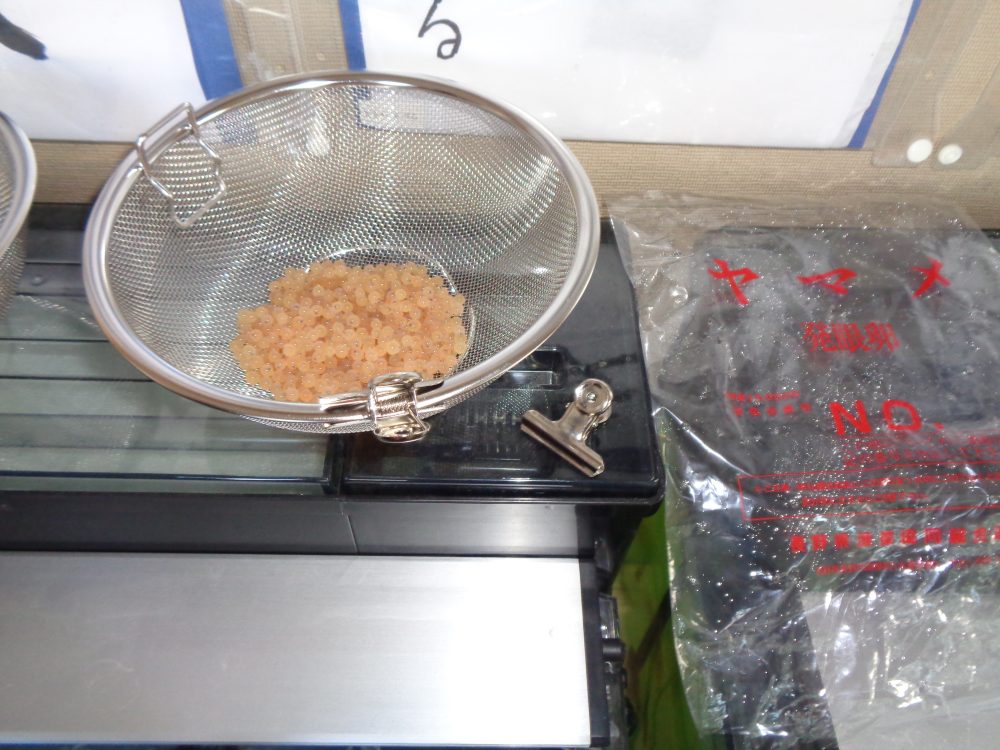 投稿についてもっと詳しく 千曲川漁協：2025年11月14日 ヤマメの発がん卵の小学校への配布をご報告