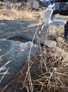 投稿についてもっと詳しく 北信漁協：2026年3月15日(日）全面解禁のお知らせ