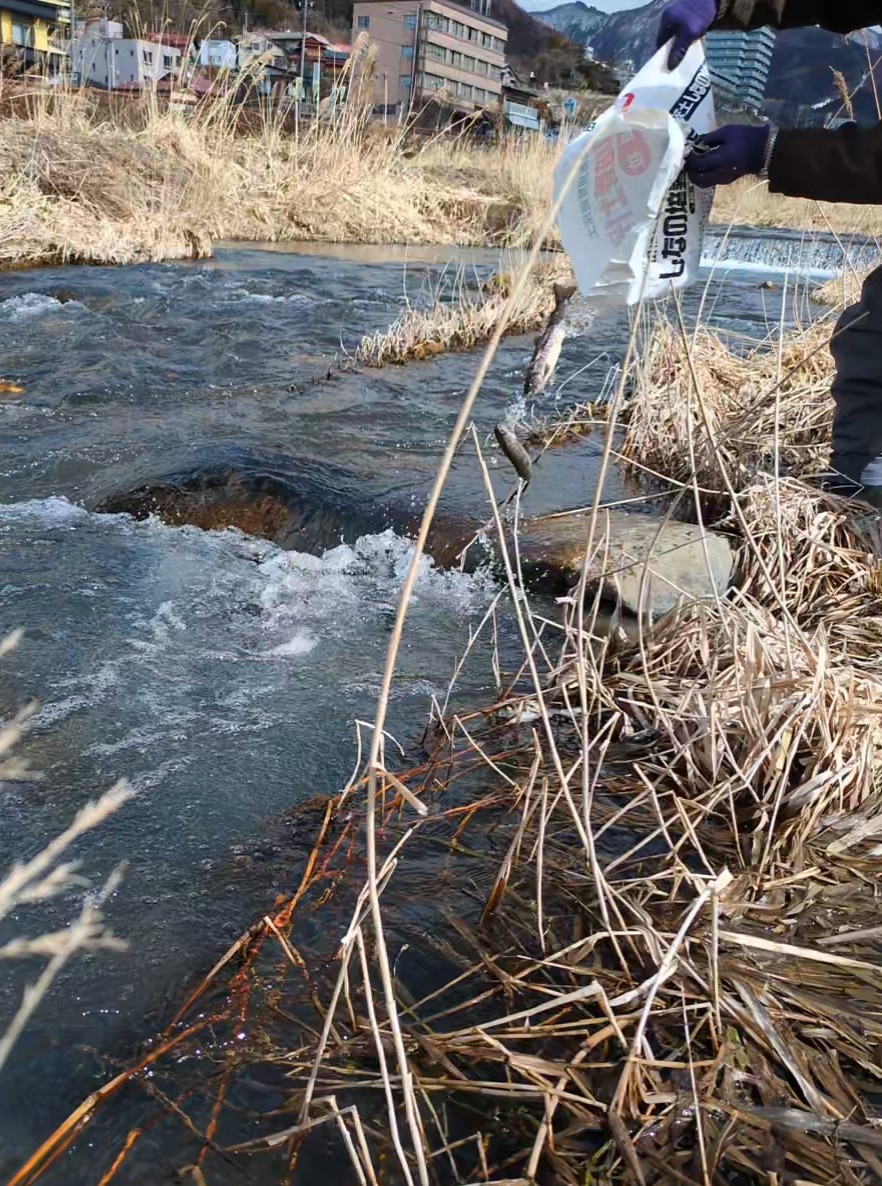 あなたが現在見ているのは 北信漁協：2026年3月15日(日）全面解禁のお知らせ